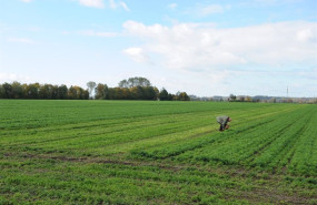 ep archivo   recurso de agricultura