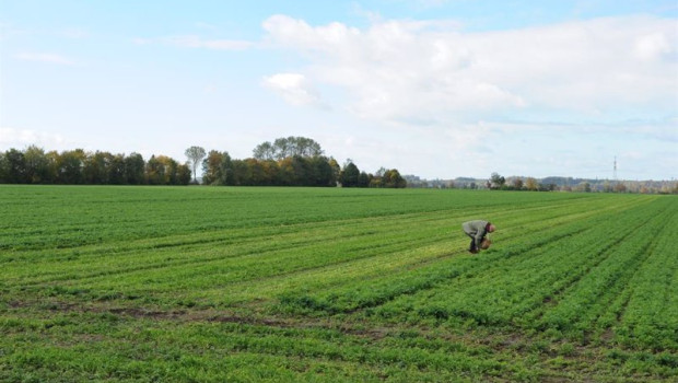 ep archivo   recurso de agricultura