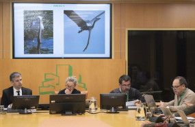 ep comparecencia de la asociacion de anguleros ante la comision de pesca