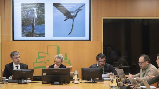 ep comparecencia de la asociacion de anguleros ante la comision de pesca