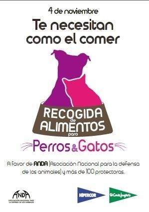 El Corte Inglés recoge pienso para mascotas para ayudar a cien protectoras de an | EL CORTE INGLÉS ep corte ingles recoge piensomascotasayudarcien protectorasan