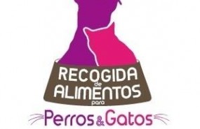 ep corte ingles recoge piensomascotasayudarcien protectorasan