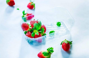 ep el centro tecnologico adesva valida el nuevo envase ecosoft para frutos rojos