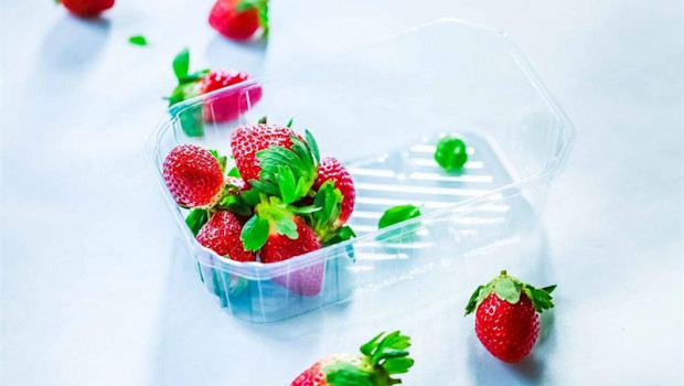 ep el centro tecnologico adesva valida el nuevo envase ecosoft para frutos rojos