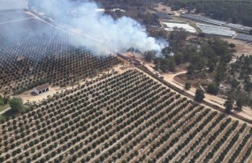 ep incendio controladoinfocamoguer huelva