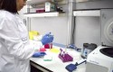 ep investigadora laboratorio 20180528173002