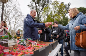 ep representantes de upa reparten fresas de huelva a los viandantes en sevilla