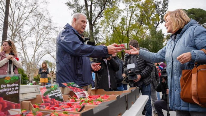 ep representantes de upa reparten fresas de huelva a los viandantes en sevilla ep representantes de upa reparten fresas de huelva a los viandantes en sevilla