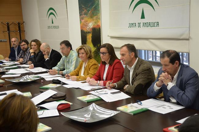 ep reunionconsejo provincialdrogodependenciasjaen