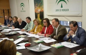 ep reunionconsejo provincialdrogodependenciasjaen