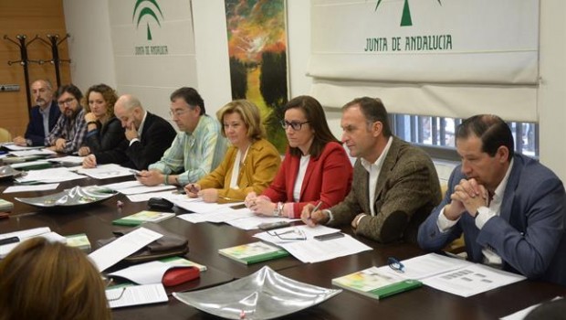 ep reunionconsejo provincialdrogodependenciasjaen