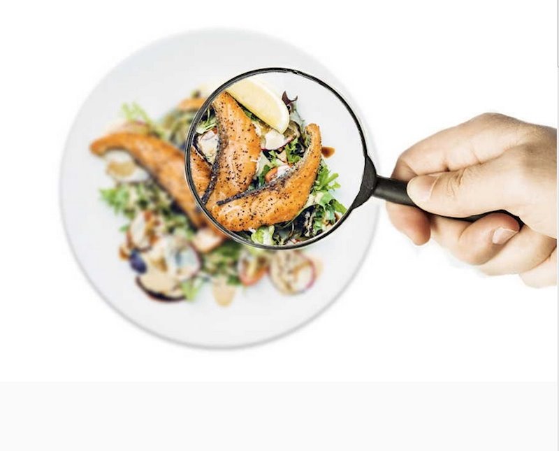 ep seguridad alimentaria alimentos