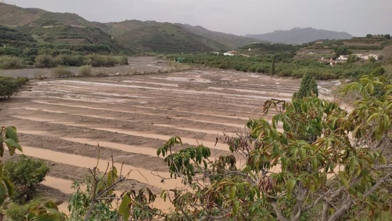 ep vista de campos de cultivo anegados en velez malaga tras el paso de la dana del 13 de noviembre ep vista de campos de cultivo anegados en velez malaga tras el paso de la dana del 13 de noviembre