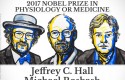 nobel medicina 2017 2 nobel medicina 2017 2