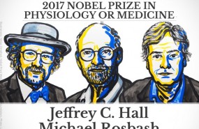 nobel medicina 2017 2