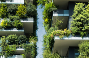 redes sociales elalquilador 1 1 2