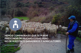 1589477046 campana carne 20