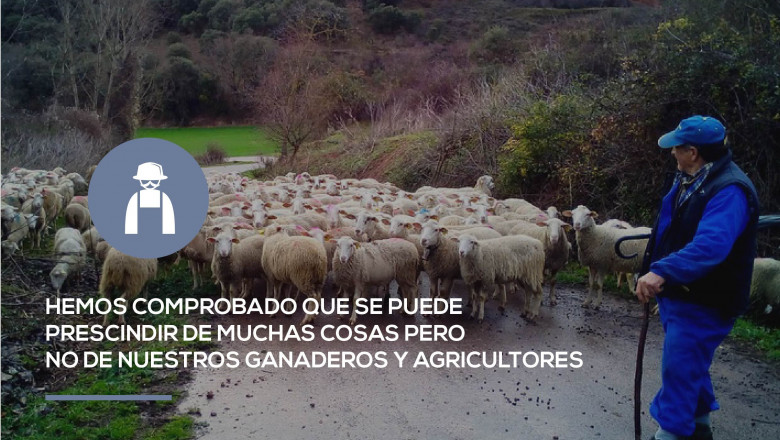 1589477046 campana carne 20