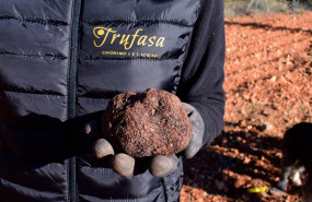 1635319940 trufasa trufa negra 20211027144122 