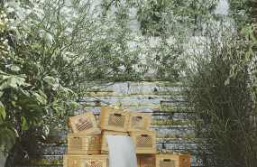 1644488470 fluitactiu 1644488470 fluitactiu