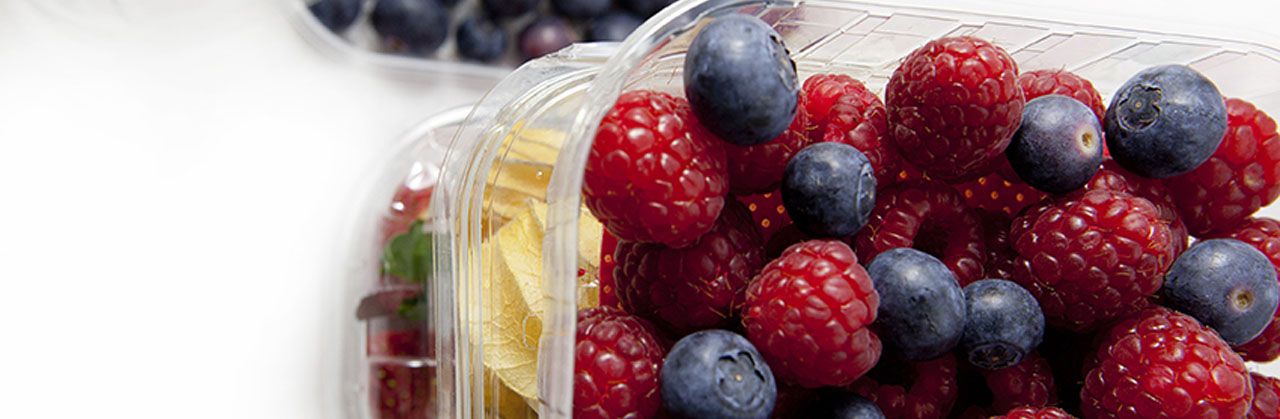 1645794052 fontanet group