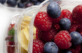 1645794052 fontanet group 1645794052 fontanet group