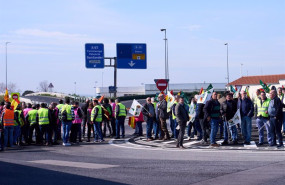 ep agricultores y ganaderos de castilla y leon protestan en el puerto de santander