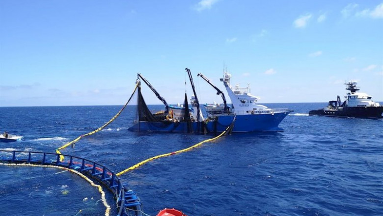 ep barcos pesqueros de balfego pescando atun rojo