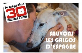 ep campana crowfunding salvar galgos