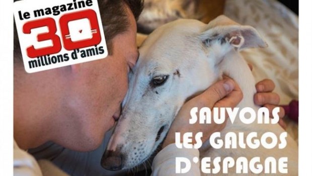 ep campana crowfunding salvar galgos