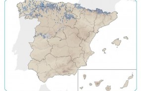 ep distribuciondesman iberico vulnerableen peligroextincionespana