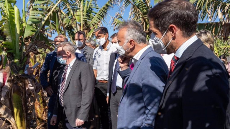 ep el comisario europeo de agricultura janusz wojciechowski y el presidente de canarias entre otros ep el comisario europeo de agricultura janusz wojciechowski y el presidente de canarias entre otros