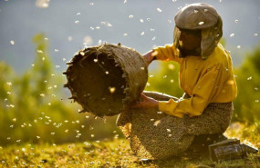 ep fotograma de la pelicula honeyland que se proyectara en el xxi festival internacional de cine