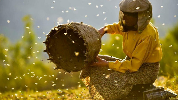 ep fotograma de la pelicula honeyland que se proyectara en el xxi festival internacional de cine