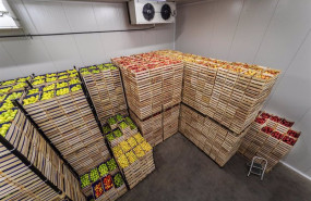 ep frutas flouradas