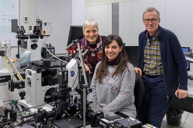 Investigadores Da Usc Avanzan Na Loita Contra A Enfermidade De Alzhéimer | UNIVERSIDAD DE SANTIAGO DE COMPOSTELA ep investigadores da usc avanzan na loitaa enfermidadealzheimer