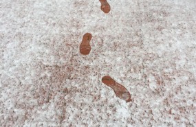 ep nieve nevada frio 20170322082803
