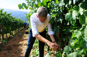 ep o presidente da xunta alfonso rueda acompanado da conselleira do medio rural maria jose gomez