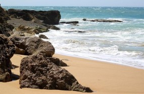 ep playalos canosmecabarbate cadiz