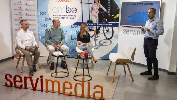 ep presentacion informe ambe