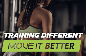 12 20251210145625 12 20251210145625