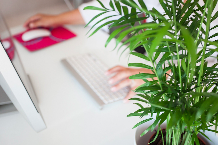 1600681381 captura de pantalla 2020 09 21 a les 114225