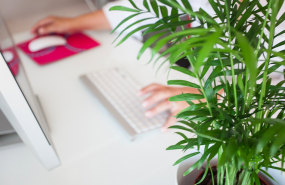 1600681381 captura de pantalla 2020 09 21 a les 114225 1600681381 captura de pantalla 2020 09 21 a les 114225