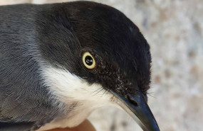 1628061384 20140827112149 1 