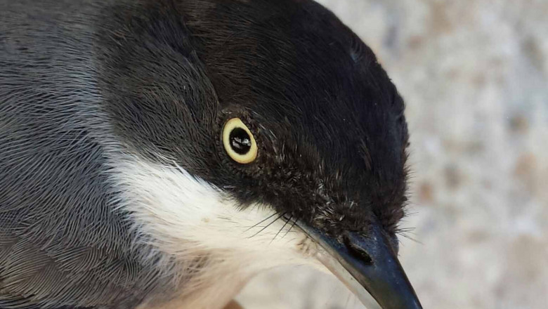 1628061384 20140827112149 1 