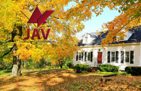 1631880278 jav reformar en oto o