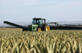 1640687158 np ais group endeudamiento de las empresas del sector primario