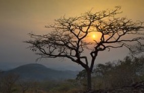africa africa