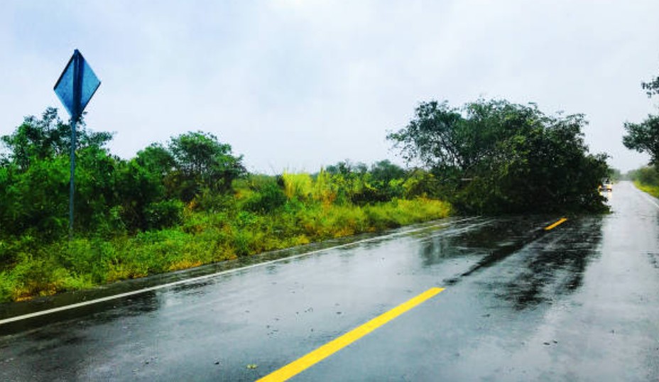 carretera asfalto
