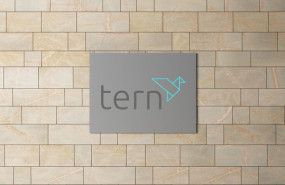 dl tern plc aim technology investing investment investor portfolio internet of things iot digital financial logo dl tern plc aim technology investing investment investor portfolio internet of things iot digital financial logo